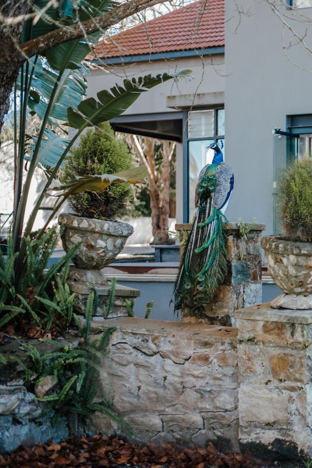 The Hawthorn Boutique Hotel George Exterior photo